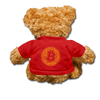 Bitcoin Teddy Bear