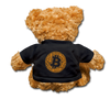 Bitcoin Teddy Bear